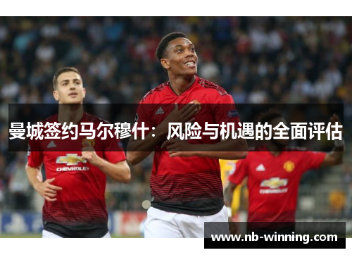 曼城签约马尔穆什：风险与机遇的全面评估