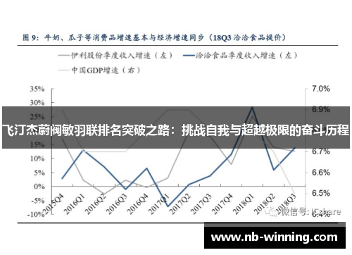 飞汀杰蔚阀敏羽联排名突破之路：挑战自我与超越极限的奋斗历程