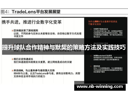 提升球队合作精神与默契的策略方法及实践技巧