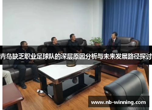 青岛缺乏职业足球队的深层原因分析与未来发展路径探讨